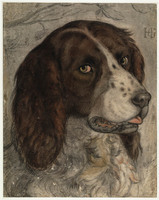 N 074
<br/>
Goltzius' hond
<br/>
<em>Goltzius, Hendrick (1558-1617)</em>